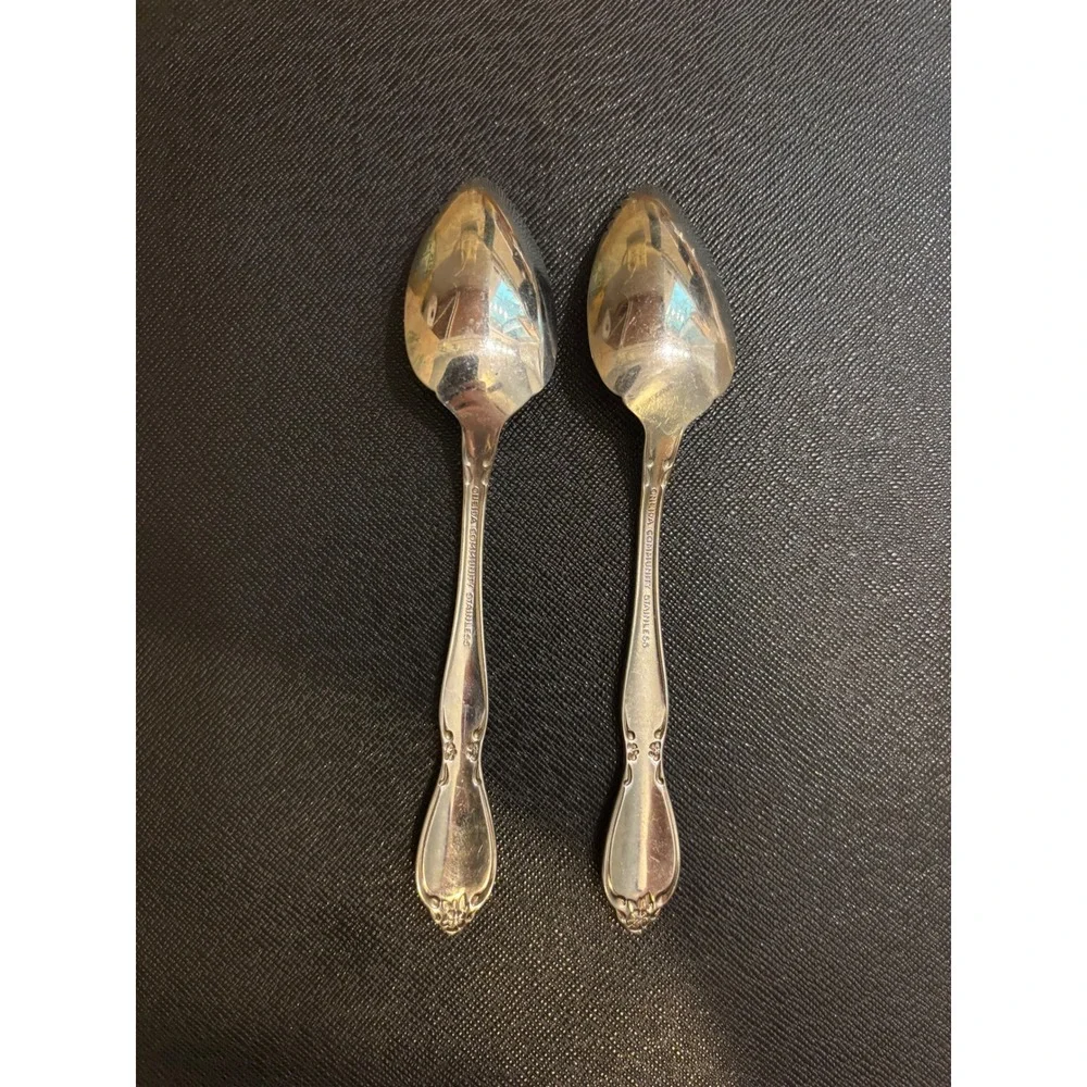 Oneida Community Stainless Morning Rose Grapefruit Spoons Serrated Set of 2
